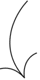 shape